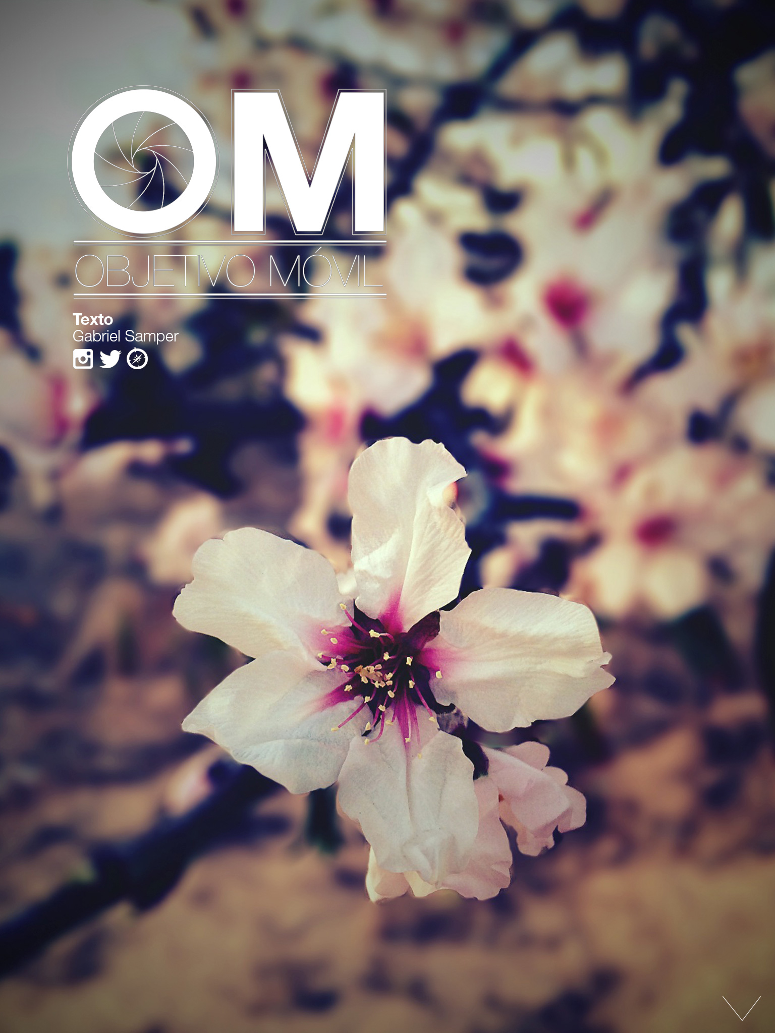 objetivo móvil. Continúa abajo la sección