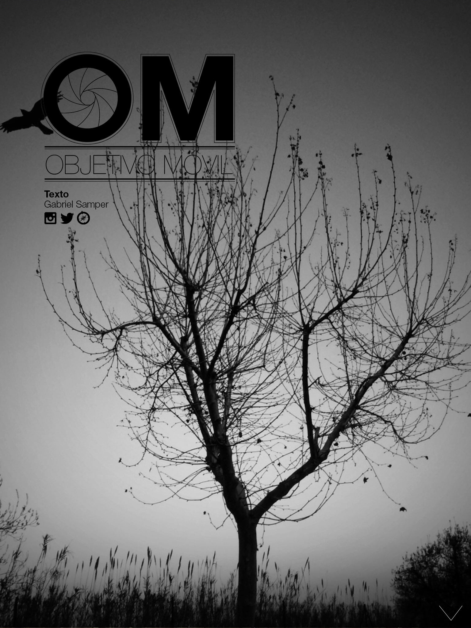 objetivo móvil, tu sección de fotografía móvil. Continúa abajo