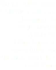 Tanto calles como construcciones se basan en la arquitectura pasiva y contribuyen a reducir las tan altas temperaturas de la zona