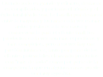 Cuando todo es grande y efímero, destacar es complicado, y por tanto el triunfo y el éxito también lo son. La batalla por destacar entre la mayoría y lucrarse cada vez es más ardua y esto es a la vez causa y consecuencia para el cliente final: los productos cada vez son más específicos y más complejos, pero a su vez hay una presión intrínseca, tanto por parte de los clientes potenciales clamando productos con “más de todo” como por parte de la competencia que en algunos casos puede
ser muy agresiva.