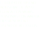 el equipo de diseño industrial de Apple cuenta con varias personas con amplia experiencia en el diseño de vehículos