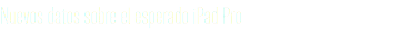 Nuevos datos sobre el esperado iPad Pro
