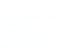 El contenido será el mismo independientemente de que el continente sea una consola, un tablet, un smartphone o un ordenador
