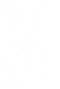 Nada es objetivo por supuesto, aquí cada uno ve las cosas como las siente en sus manos. Al fin y al cabo, una vez que adaptas un equipo a tus gustos con tus aplicaciones y tu modo de uso ya lo haces único