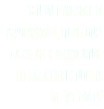 Son un marcador de popularidad y, en algunos casos, algo aspiracional: llegar a cierto número
de “me gusta”