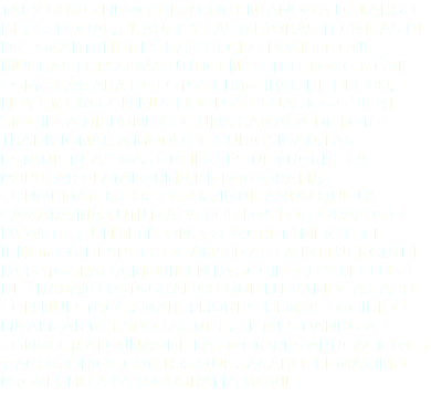 Tal y como hemos ido comentando a lo largo del Especial, el auge y las mejoras técnicas de los smartphones han hecho posible que muchas personas utilicen su teléfono móvil como cámara de fotos principal. De hecho, hoy en día son muchos los usuarios que ni siquiera disponen de una cámara de fotos tradicional. A modo de curiosidad, las estadísticas más recientes de Flickr —la popular plataforma de fotografía— confirman estos datos, indicando que la cámara más utilizada por los fotógrafos de la web es un teléfono: concretamente, el iPhone 6. Después de analizar la influencia de la fotografía móvil en la sociedad y el flujo de trabajo fotográfico que llevamos a cabo con nuestros smartphones, hemos decidido finalizar el Especial de este mes dando a conocer algunas de las mejores aplicaciones y accesorios con los que sacarle el máximo provecho a la fotografía móvil.