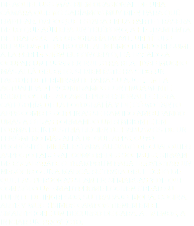 De aquel uso más bien ocasional de una cámara que no sabíamos muy bien para qué emplear, dado que estaba en la parte trasera de lo que aún era un teléfono, a herramienta de trabajo. La fotografía móvil, un título redundante pero que al mismo tiempo resume a la perfección el concepto, ha pasado a ocupar un lugar en nuestra realidad mucho más allá del ocio. Si bien éste ha sido un factor determinante para su auge, en la actualidad encontramos continuamente ejemplos del alcance profesional de esta categoría de la fotografía y de cómo tanto apps como disciplinas se han ido amoldando unas a otras formando un simbionte en forma de industria reciente. Hablamos de un fenómeno más allá de que apps, cuyo propósito inicial estaba alejado de cualquier aspecto laboral como redes sociales, sirvan de escaparate o trampolín para proyectar un negocio o una marca. Se trata del hecho de que las personas sean en sí marcas y de que con sólo un smartphone logren crear su fuente de ingresos, su trabajo. Moda, cocina, arte y muchísimos campos tienen en el smartphone un recurso de cara, al menos, a iniciar un proyecto.