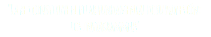 "La red constituye el pilar fundamental de su profesión:
los instagrammers"