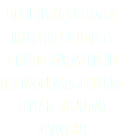 Lo mínimo que podrías hacer con tus fotos es sincronizarlas con un ordenador para tener una copia de seguridad disponible