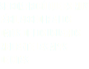 Se comprobó que es muy fácil acceder a los datos de los usuarios mediante las apps
de citas