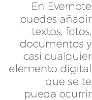 En Evernote puedes añadir textos, fotos, documentos y casi cualquier elemento digital que se te pueda ocurrir
