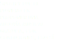 Spotify fue el pionero en proponer una autovía musical gratuita, con condiciones, eso sí