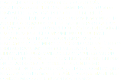 Has podido leer como deberías ser más cauteloso con el almacenamiento de tu vida digital en la ya omnipresente nube. Redes sociales, servicios de sincronización y miles de archivos privados que se mueven por equipos que ya no son el tuyo. Pero estamos en Navidad, glorificación del consumismo desde hace décadas y la pregunta que empezamos a hacernos es, ¿Compro este producto en físico o digital? Hablamos principalmente de música, libros, películas y videojuegos, que copan un altísimo porcentaje de los regalos preferidos en estas fechas, y sobre todo, un lugar especial en los autoregalos, estos con los que nos consentiremos este año, porque nadie nos conoce mejor que nosotros mismos.